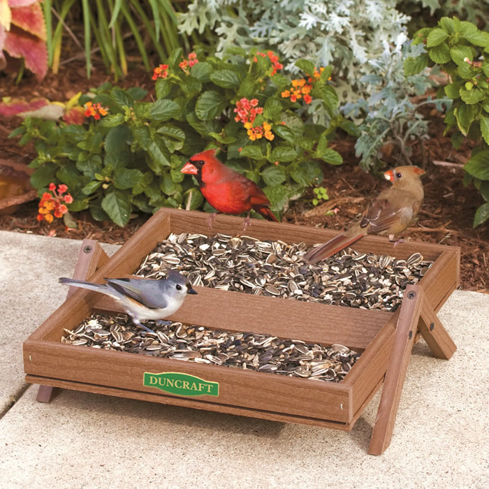 Duncraft Eco-Strong Ground Platform Feeder with raised tray and metal mesh drainage, designed for ground-feeding birds. Holds up to 2 lbs. of seed.