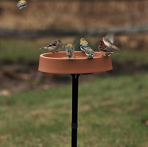 All Season Heated Bath on a metal stand, with several birds perched and using the birdbath, perfect for providing year-round water.