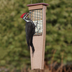 Duncraft Eco-Strong Tail Prop Suet Feeder