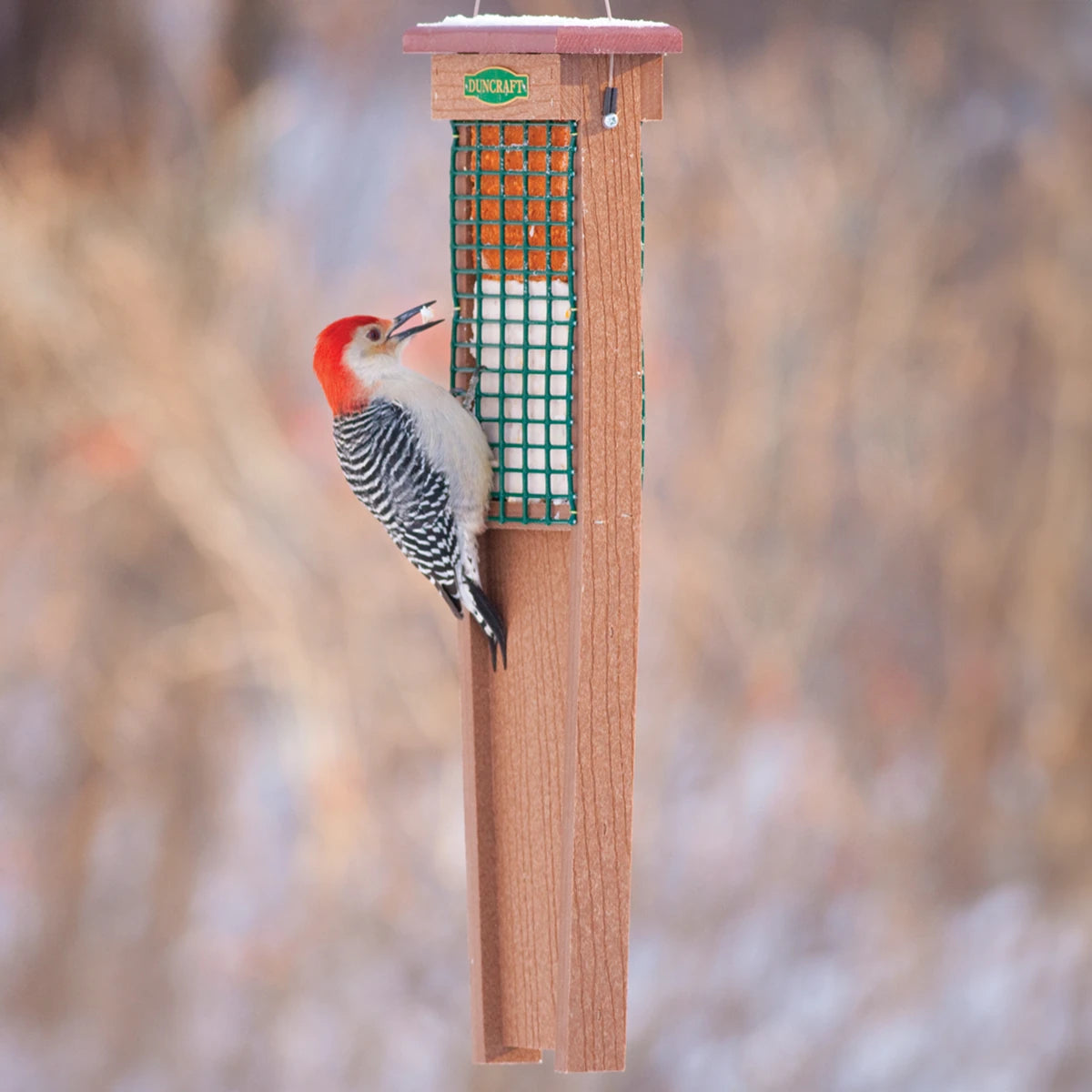 Duncraft Eco-Strong Tail Prop Suet Feeder with a woodpecker feeding on the wire mesh, showcasing the extended tail prop area for stability.