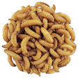 Close-up of WaxSnax Roasted Waxworms in a resealable bag, showcasing plump, dehydrated wax moth larvae for bird feeding.
