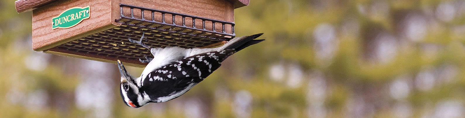 Duncraft Upside Down Suet Feeder