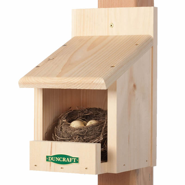 Duncraft Best Nesting Shelf featuring an open design with a nest and two eggs, ideal for attracting birds like robins and phoebes.