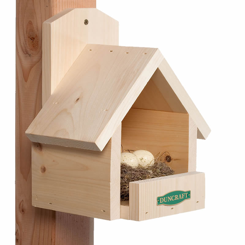 Duncraft Cardinal Bird House with eggs inside, featuring a peaked roof and safety ledge, made from Eastern white pine for optimal cardinal nesting.