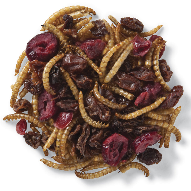 Robin & Bluebird Medley: A pile of raisins, dried cranberries, and mealworms, a protein-rich snack mix for fruit-eating birds, in a resealable bag.