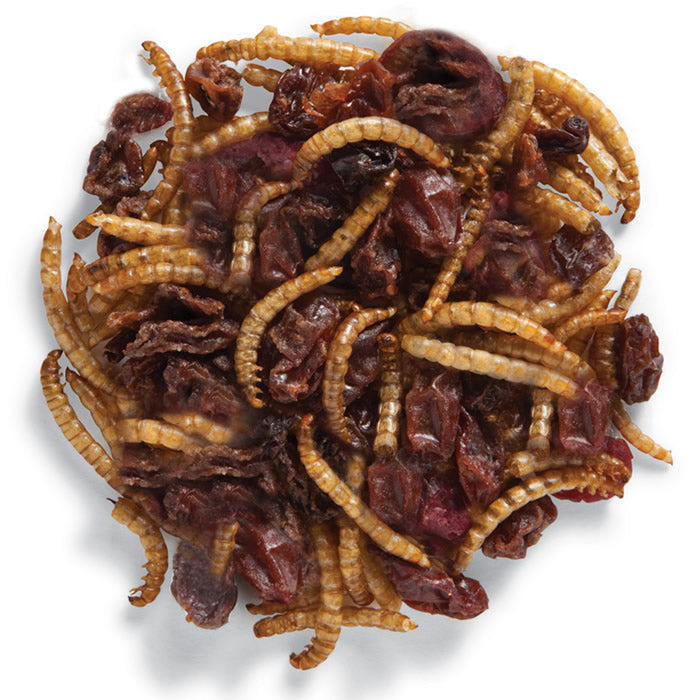 Duncraft Roasted Mealworm & Cranberry Wild Bird Food: A pile of dried cranberries and roasted mealworms, a high-protein snack for attracting various bird species.