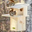 Duncraft Squirrel House with Predator Guard featuring two squirrels on a wooden birdhouse, ideal for nesting and sunning, with easy access and insulation.