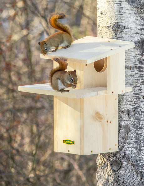 Duncraft Squirrel Den featuring two squirrels on a wooden birdhouse, with a sun porch for sunbathing and an easy-clean front panel.