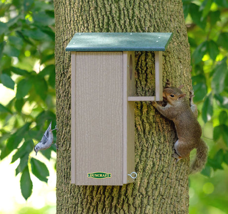 Duncraft Squirrel Eco House: A squirrel climbs a bird feeder on a tree, demonstrating the house's appeal and easy cleanout feature for nesting squirrels.