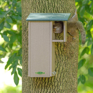 Duncraft Squirrel Eco House with a squirrel climbing out of the birdhouse, featuring a 3-inch entry hole and predator guard for safe nesting.