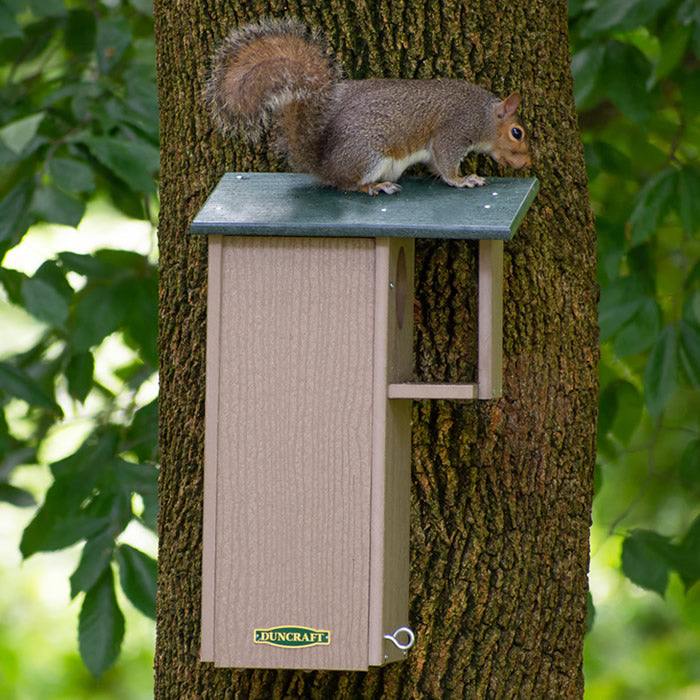 Duncraft Squirrel Eco House mounted on a tree with a squirrel on the roof, featuring a 3-inch entry hole and easy cleanout eye hook.