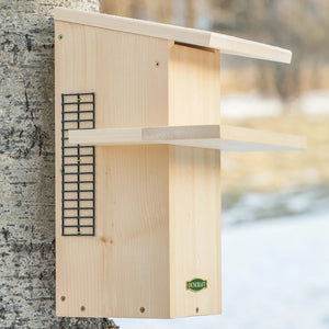 Duncraft Squirrel House with Predator Guard mounted on a tree, featuring a side entry hole and sturdy structure for safe squirrel nesting and viewing.