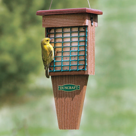 Duncraft Eco-Strong Tail Prop Suet feeder with a bird perched, showcasing a two-sided wire mesh and tail prop area for woodpeckers.