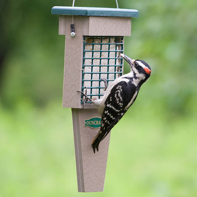 Duncraft Eco-Strong Tail Prop suet feeder with a woodpecker feeding, featuring a tail prop area and two-sided wire mesh for easy bird access.