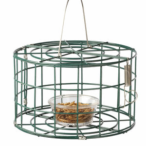 Duncraft Mini Bluebird Cage Feeder with a 5 oz. dish of mealworms inside, featuring wire mesh grid and spring lock, ideal for feeding small birds.