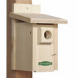 Duncraft Extreme Ventilated Bird House on a wooden post, featuring a 1-1/2 inch entry hole, overhanging roof, and built-in ventilation with stainless steel wire mesh.