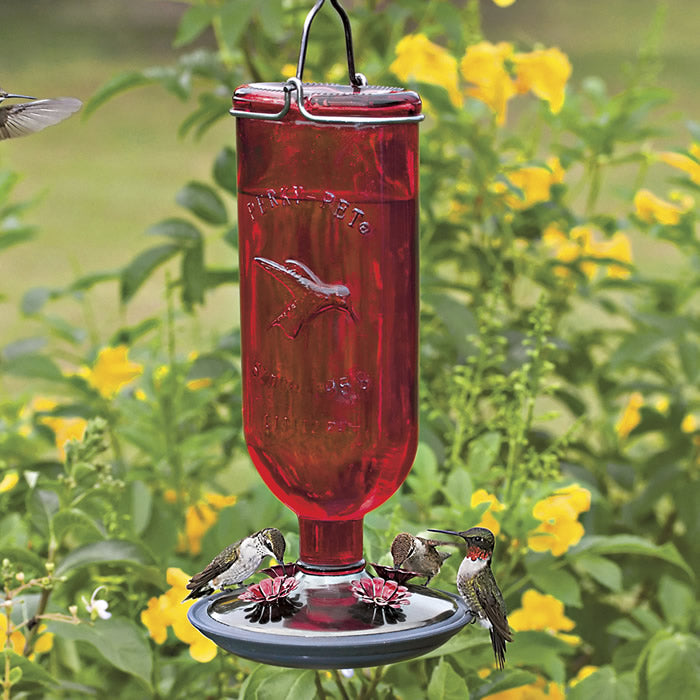 Red Bottle Hummingbird Feeder with several hummingbirds feeding. Features antique design, 4 feeding ports, and built-in hanger.