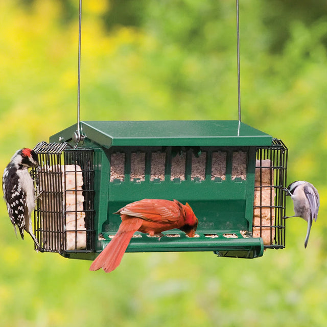 Mini Seeds N More Feeder with a red cardinal eating from it, showcasing built-in suet baskets and a secure, all-metal design for easy bird feeding.