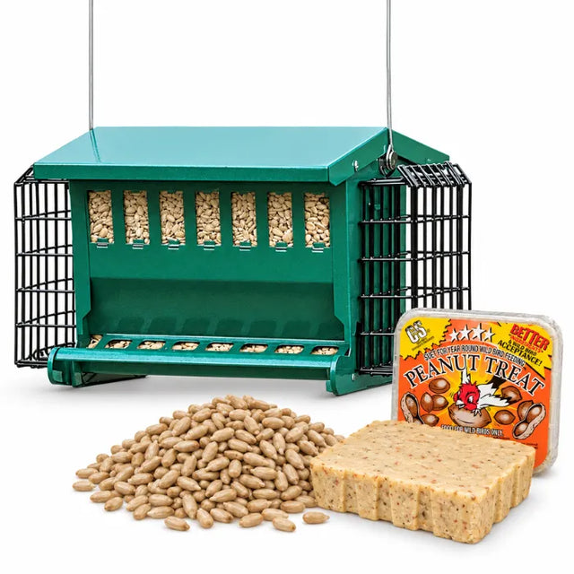Mini Seeds N More Bird Feeder with a 5 lb bag of Whole Sunflower Hearts and two Peanut Treat Suet Cakes on a white background.