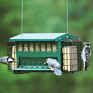 Birds eating from the Mini Seeds N More Feeder, which includes built-in suet baskets, a secure top, and clear windows to monitor seed levels.