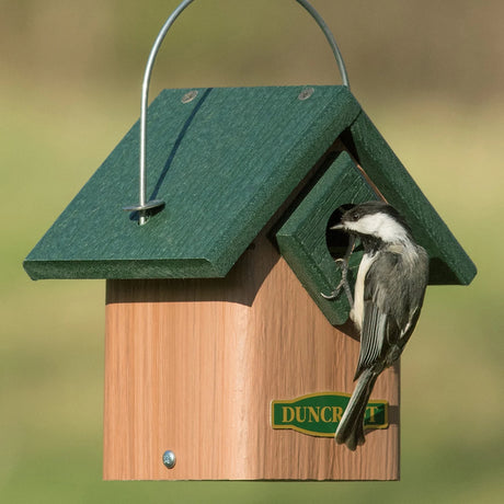 Duncraft Songbird House: A bird perched on a wooden birdhouse with a 1-1/8 inch entry hole and predator guard, designed for backyard nesting.