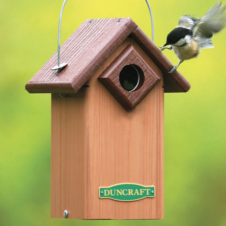 Duncraft Eco Chalet House with a bird perched on the birdhouse, featuring a predator guard and locking roof, surrounded by an outdoor setting.