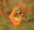 Duncraft Eco-Friendly Orange Fruit Feeder with a bird perched, featuring stainless steel perches and a central rod for orange halves.