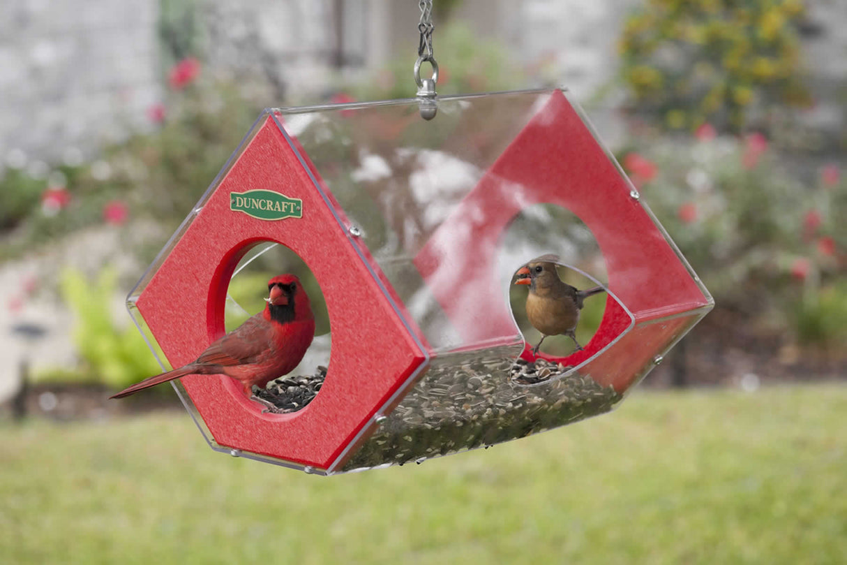 Duncraft Cardinal Fly Thru Feeder with birds inside, featuring a stable base, clear roof, and large entry holes for easy feeding.