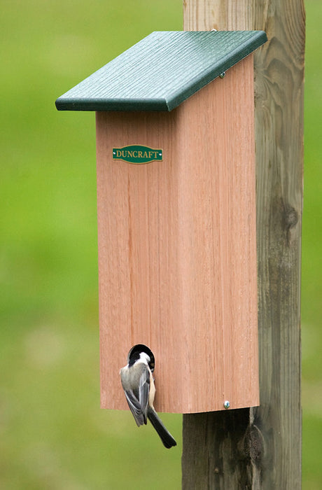 Duncraft Four Seasons Roosting Box with bird perched on top, showcasing its wooden design and bird-friendly features.