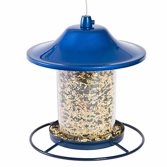 Sparkle Panorama Feeder with a blue top, featuring a clear hopper, Sure-Lock™ cap, and four feeding ports for easy bird access.