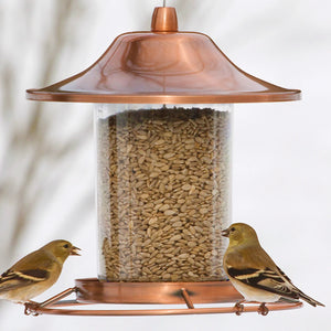 Copper Panorama Feeder with birds eating seeds, featuring a clear seed chamber, wraparound perch, and built-in drainage tray.