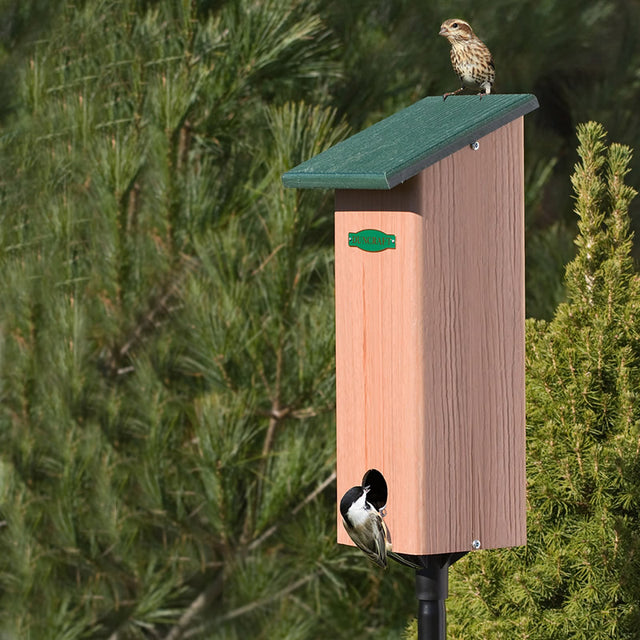 Duncraft Four Season Roosting Box & Pole with a bird perched on the birdhouse roof, nestled among trees, showcasing its design and functionality.