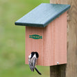 Duncraft Eco-Songbird Roosting Box featuring a small bird perched inside, with a ladder for warmth and easy mounting against flat surfaces.