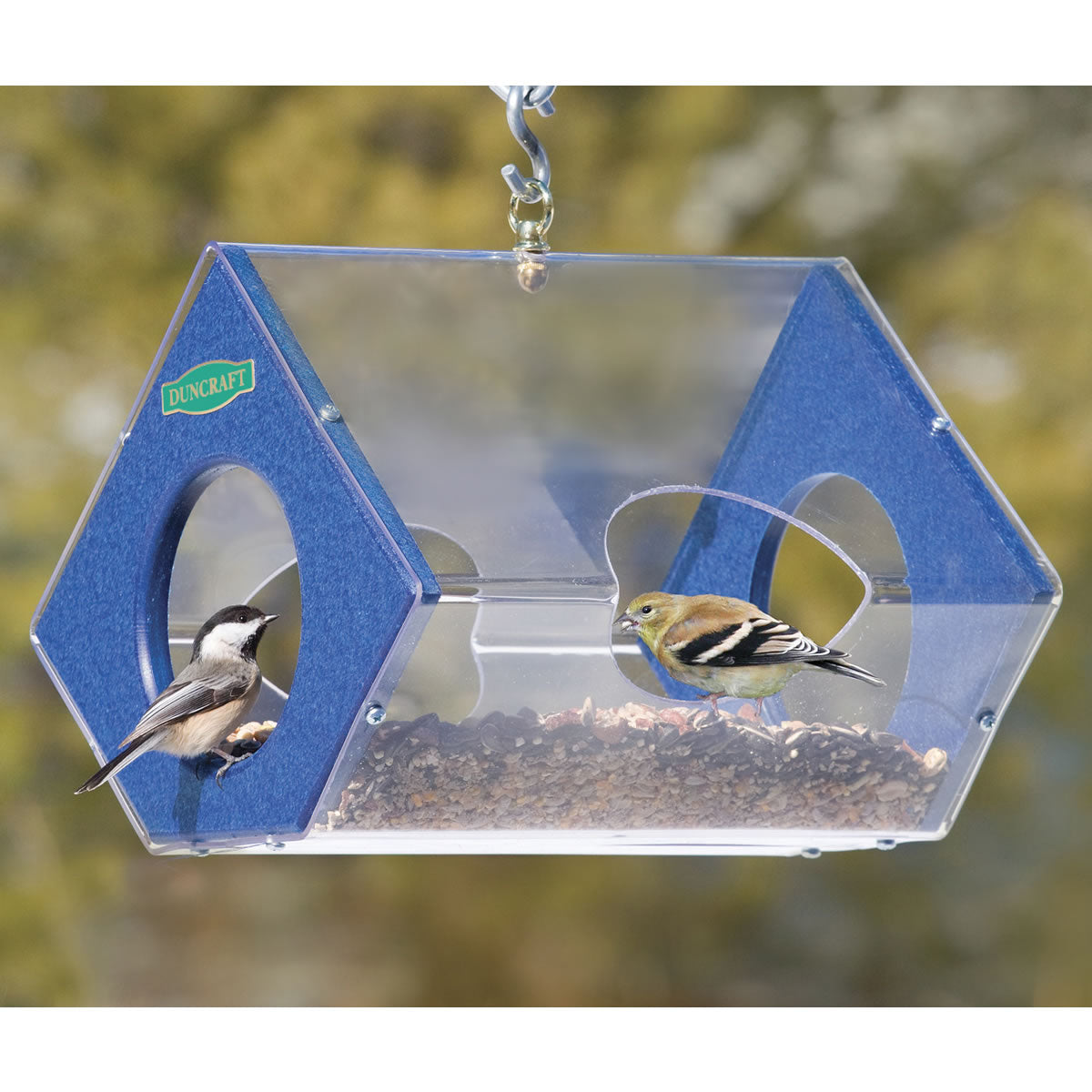 Duncraft Eco-Delight Platform Bird Feeder with acrylic roof, birds feeding inside. Features wide openings and sturdy base for easy bird access and viewing.