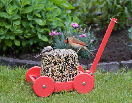 Duncraft Red Seed Block Wagon: A red wagon feeder with a wire grid floor, four wheels, and a handle, perfect for holding a jumbo bird seed block.