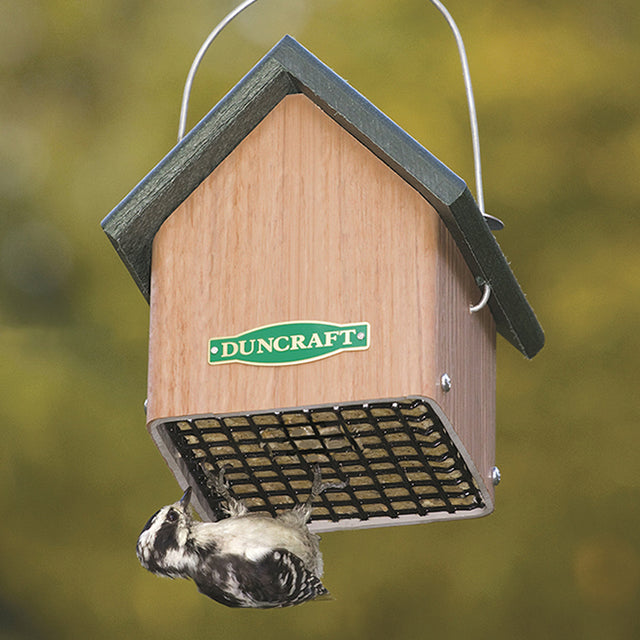 Duncraft Eco-Strong Upside Down Suet Feeder with green roof and metal grate, designed for clinging birds like woodpeckers, featuring weather-protected suet cakes.