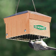 Duncraft Upside Down Suet Feeder with mesh design, hanging from a tree, a small bird perched on it, weatherproof roof, holds two suet cakes.