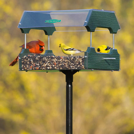 Duncraft Eco-Strong Platform Feeder & Pole with birds feeding, featuring clearview plastic roof and floor, green recycled plastic sides, and a sectional mounting pole.