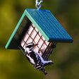 Duncraft Woodpecker Suet Feeder with weather-resistant roof, featuring a black and white bird enjoying suet from the metal basket in an outdoor setting.