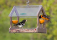 Duncraft Eco-Strong Fruit & Seed Feeder with birds perched and feeding on seeds and fruit, featuring a clear acrylic and recycled plastic construction.