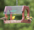 Duncraft Bird-Safe® Platform Feeder with several birds feeding, showcasing wide fly-through openings and durable design, perfect for easy viewing and attracting various bird species.