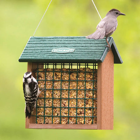 Duncraft Eco-Strong Seed Block Feeder with a bird perched on mesh sides, designed for clinging birds to peck at treats.