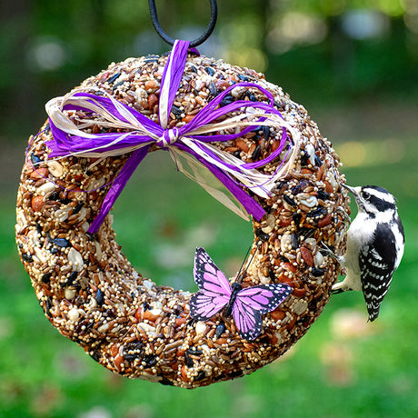 Wildfare Wreath featuring a bird perched on an edible wreath with safflower, peanuts, and sunflower seeds, decorated with a butterfly and lavender raffia.