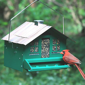 Squirrel Be Gone Home Style bird feeder with a red cardinal perched on it, featuring a weight-activated perch to deter squirrels.