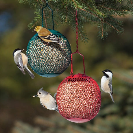 Seed Balls, Set of 2, hanging from a tree branch with birds feeding from red mesh feeders.