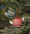 Seed Balls, Set of 2, hanging from a tree branch with birds feeding from red mesh feeders.