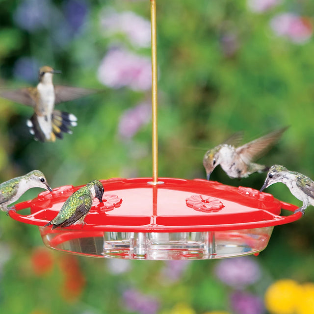 Aspects HummZinger Excel hummingbird feeder with six feeding stations and wraparound perch, showing multiple hummingbirds feeding.