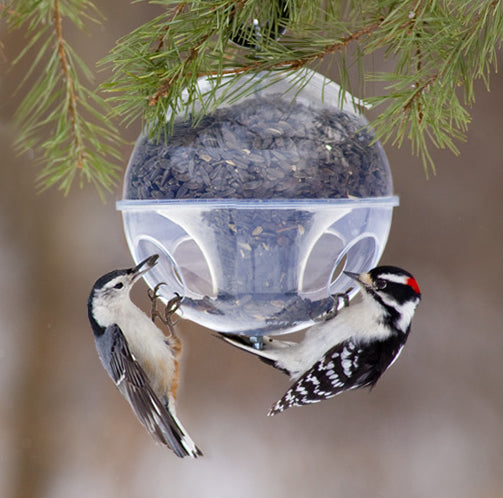 Duncraft Cling-A-Wing bird feeder with a woodpecker eating from it, featuring a globe shape and four feeding stations.