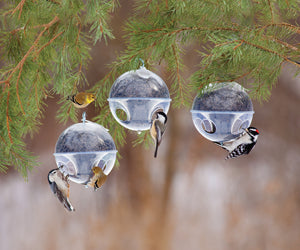 Duncraft Cling-A-Wing, Set of 3, featuring globe-shaped bird feeders with multiple feeding ports, perfect for attracting smaller birds while deterring larger ones.