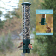 Mini Magnet Squirrel Resistant Feeder with birds perched on it, featuring a weight-activated base and clear tube for viewing seed levels.